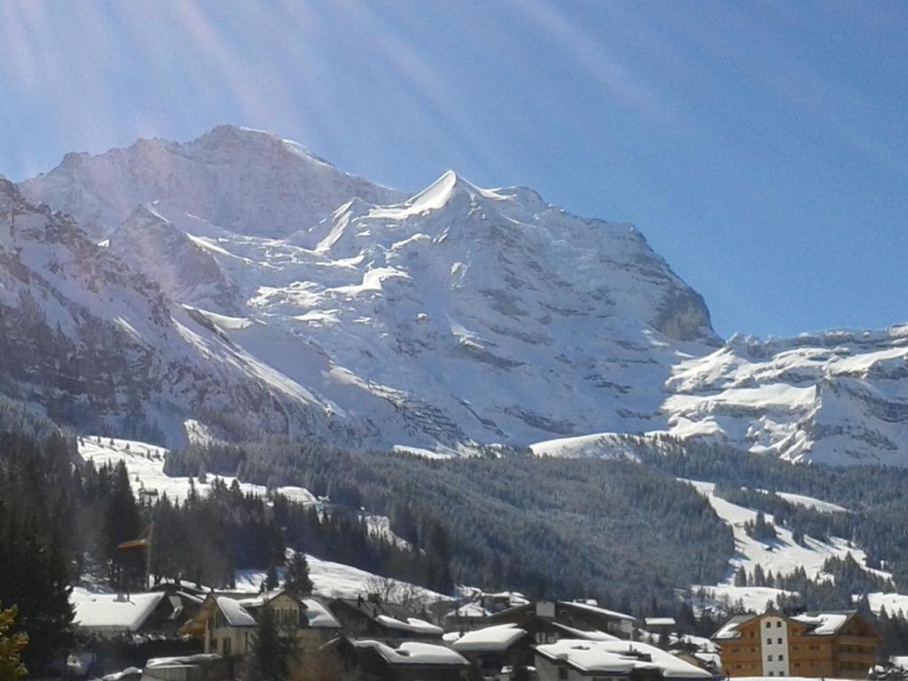 Hotel Berghaus Wengen Esterno foto
